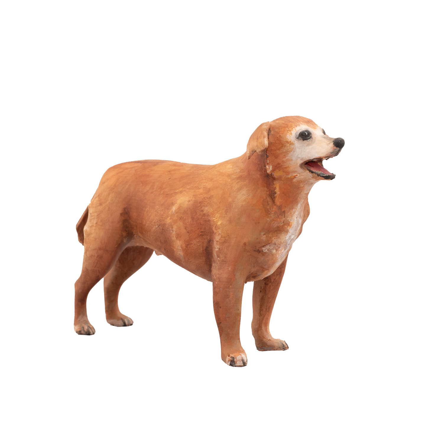 Uw huisdier (Groot)