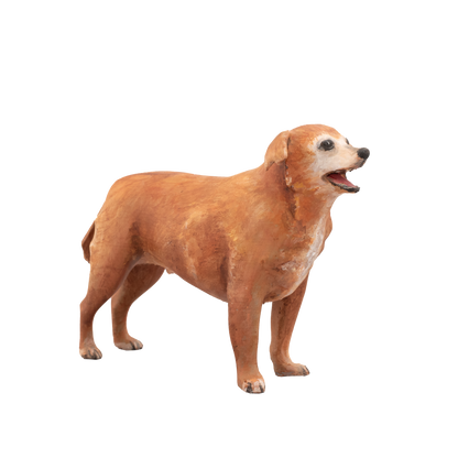 Uw huisdier (Groot)