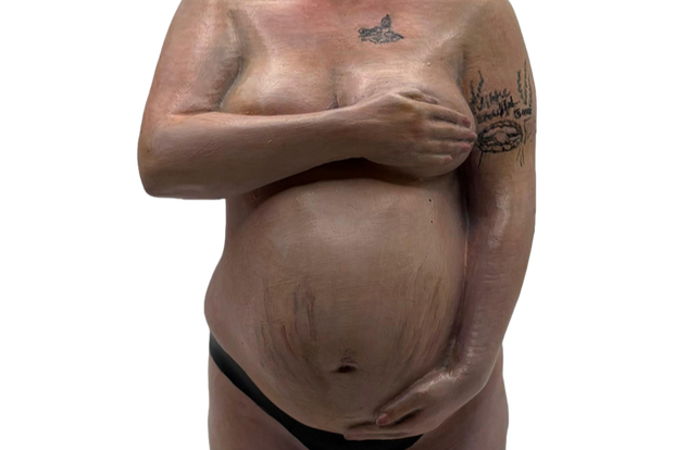 Banner image for: <h3>PREGNANCY</h3>
